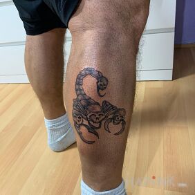 Tattoo Scorpion on the calf motif: animals style: graphic / illustrative