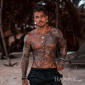 Tattoo A rare piece of cake on the chest motif: sleeves style: realistic