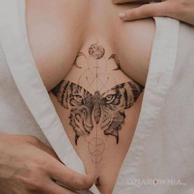 Tatuaż Motyl tygrysi na brzuchu motyw: motyle styl: graficzne / ilustracyjne