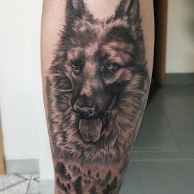 Tattoo German Shepherd on the forearm motif: black and gray style: realistic