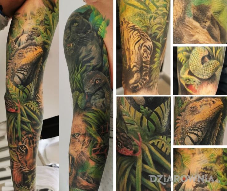 Tatuaż dżungla w motywie zwierzęta i stylu realistyczne na ramieniu
