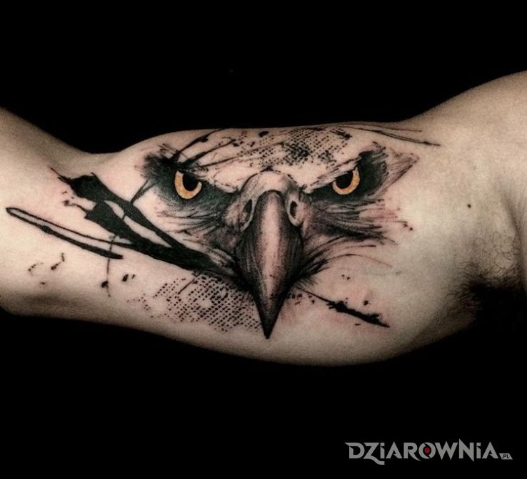 Tatuaż orzeł w motywie zwierzęta na ramieniu