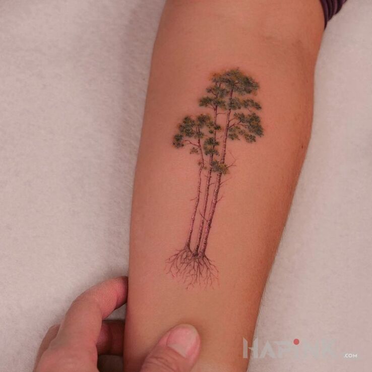 Tattoo 3 drzewka in other motif and realistic style on the forearm