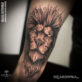 Tatuaż Lew na nodze motyw: zwierzęta styl: graficzne / ilustracyjne