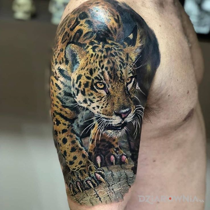 Tatuaż gepardzik w motywie kolorowe i stylu realistyczne na ramieniu