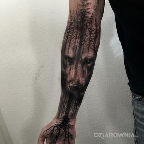 Tatuaż Niedźwiedź na przedramieniu motyw: zwierzęta styl: realistyczne