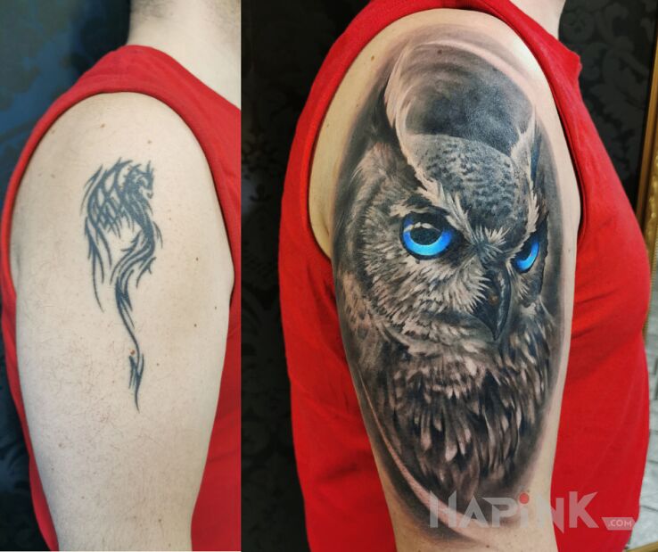 Tattoo Cover up Sowa in animals motif and realistic style on the upper arm
