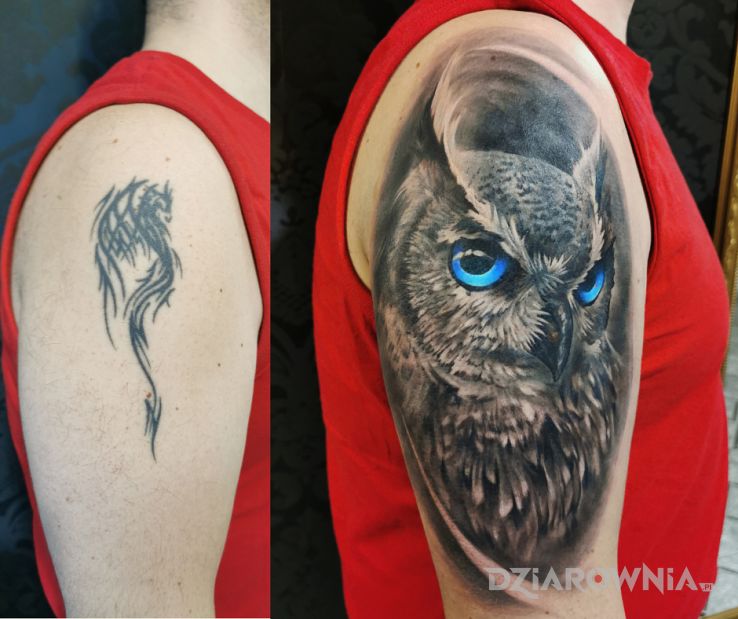 Tatuaż cover up sowa w motywie zwierzęta i stylu realistyczne na klatce