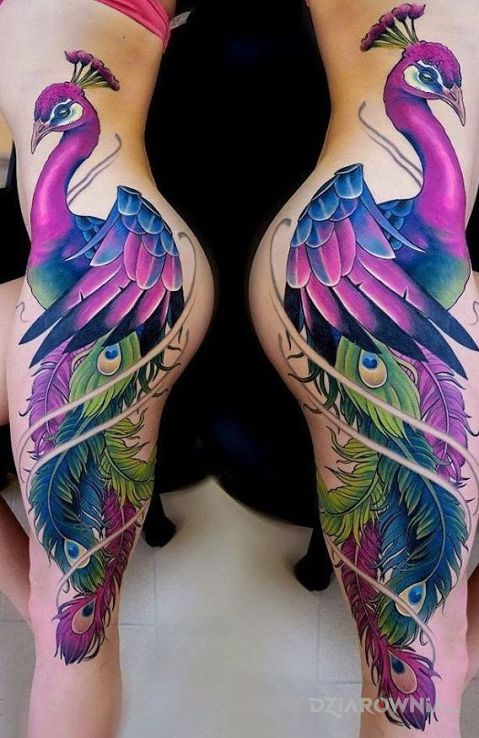 Tatuaż kolorowy ptak w motywie zwierzęta na nodze