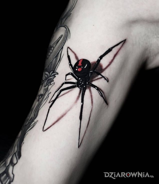 Tatuaż pajęczak w motywie zwierzęta i stylu realistyczne na ramieniu