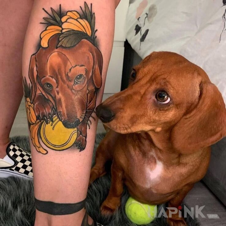 Tattoo Jamnik in colorful motif and neo-traditional style on the calf