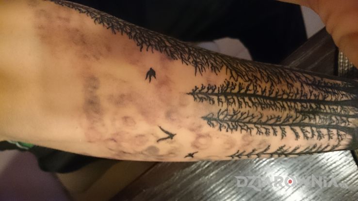 Tatuaż mroczny las w motywie rękawy na przedramieniu