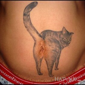 Tattoo Funny kitty on the stomach motif: animals style: realistic