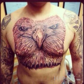 Tattoo Eagles and falcons on the stomach motif: black and gray