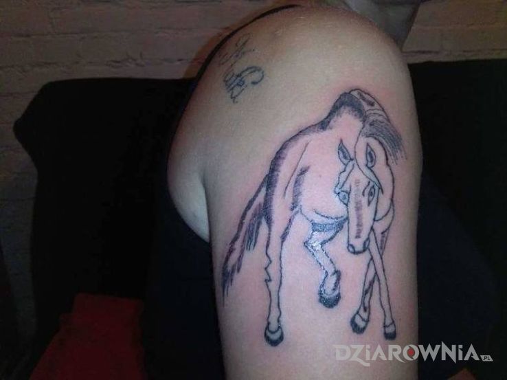 Tatuaż poszły konie po betonie w motywie zwierzęta na ramieniu