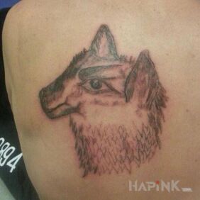 Tattoo Llama? on the shoulder blades motif: black and gray