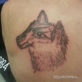 Tatuaż Lama? na łopatkach motyw: zwierzęta