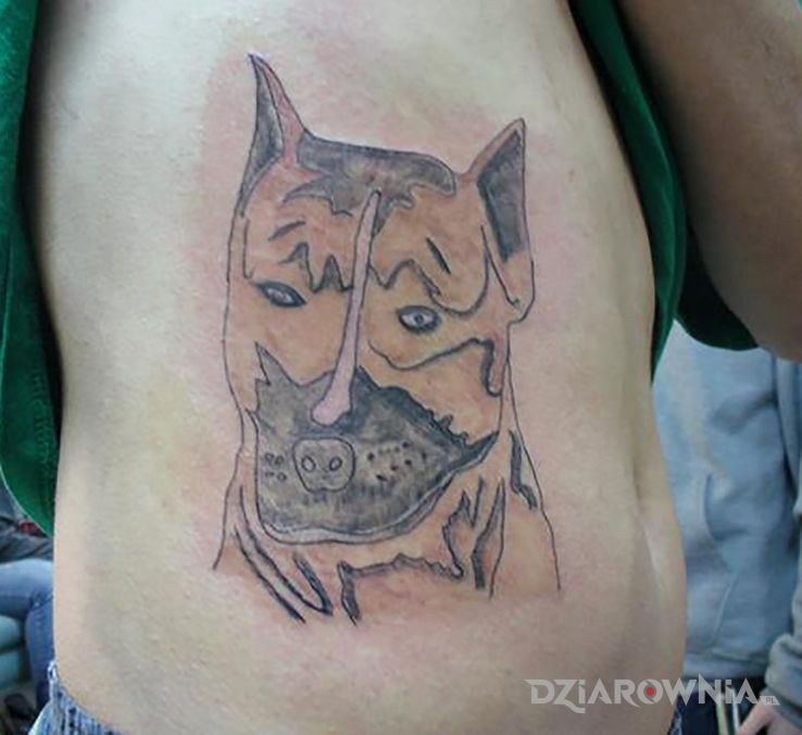 Tatuaż groźny pies w motywie śmieszne na żebrach