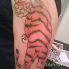 Tattoo Beware of the tiger on the upper arm motif: colorful
