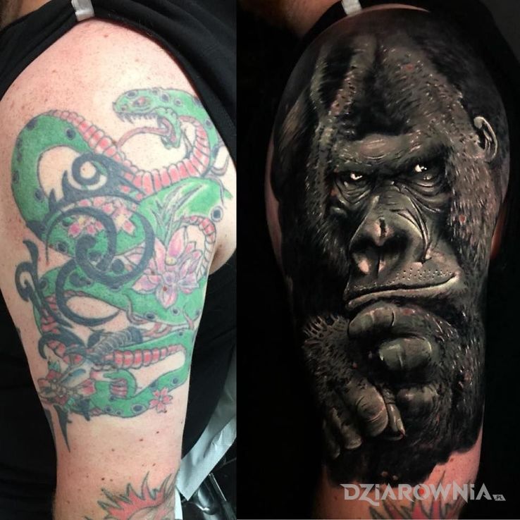 Tatuaż przyjemniaczek z tego goryla w motywie zwierzęta i stylu realistyczne na ramieniu