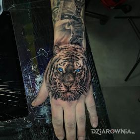 Tatuaż Tygrys na dłoni motyw: czarno-szare styl: realistyczne