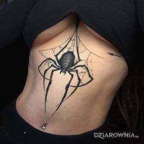 Tatuaż Czarny pająk na brzuchu motyw: czarno-szare styl: graficzne / ilustracyjne