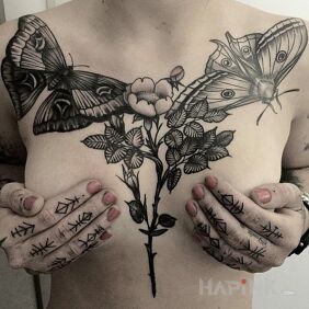 Tattoo Day and night, that is butterfly and moth on the breast motif: flowers style: graphic / illustrative