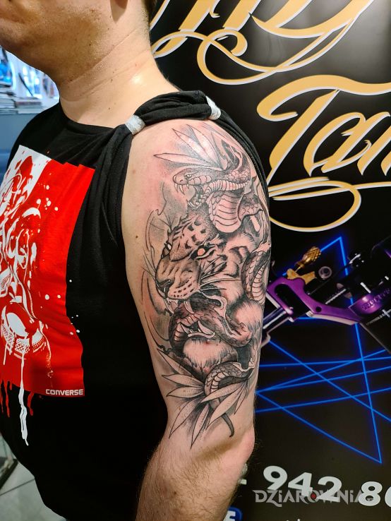 Tatuaż tygryswąż tigersnake w motywie czarno-szare i stylu graficzne / ilustracyjne na ramieniu