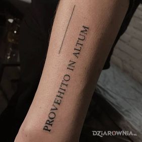 Tatuaż Provehito in altum na przedramieniu motyw: napisy styl: kaligrafia