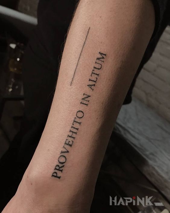Tattoo Provehito in altum in lettering motif and calligraphy style on the forearm