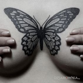 Tatuaż Czarny motyl na klatce motyw: motyle styl: graficzne / ilustracyjne