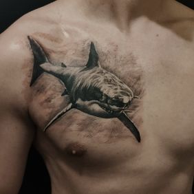 Tattoo Shark on the chest motif: black and gray style: realistic