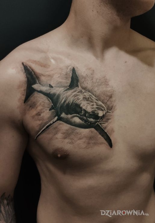 Tatuaż rekin w motywie 3D i stylu realistyczne na klatce