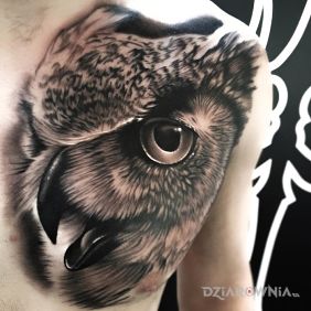 Tatuaż Realistyczna sowa na klatce motyw: 3D styl: realistyczne