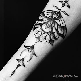 Tatuaż Ćma z ozdobnikami na ręce motyw: motyle styl: dotwork