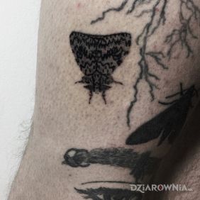 Tatuaż Brudnica mniszka / lymantria monacha na nodze motyw: zwierzęta styl: graficzne / ilustracyjne