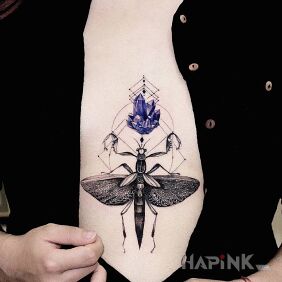 Tattoo The insect and the crystal on the chest motif: 3D