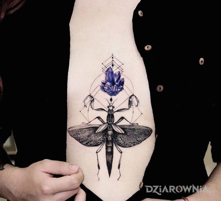 Tatuaż owad i kryształ w motywie motyle na klatce