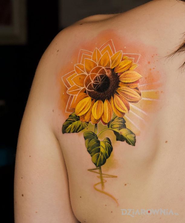 Tatuaż ładny słonecznik w motywie kolorowe i stylu realistyczne na plecach