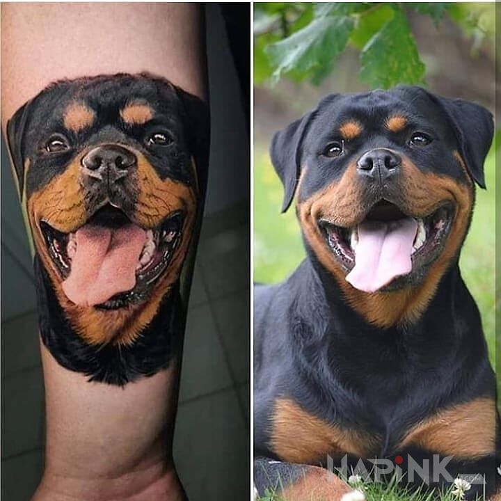 Tattoo Rottweiler in animals motif and realistic style On the arm