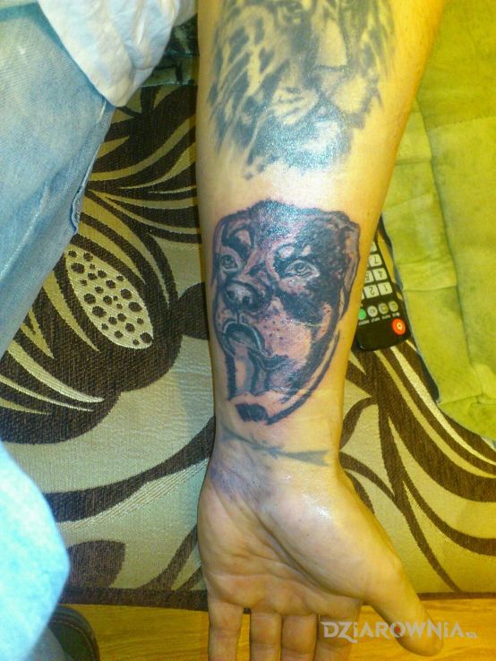 Tatuaż pies pamiatka w motywie zwierzęta na nadgarstku