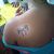 Diamet