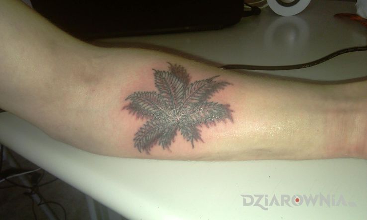 Tatuaż liść w motywie kwiaty na nadgarstku