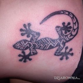 Tatuaż Jaszczurka mauri na brzuchu motyw: zwierzęta styl: polinezyjskie