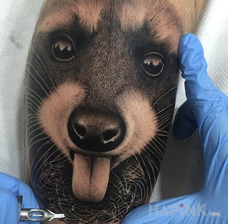Tattoo Szop pracz in animals motif and realistic style on the forearm