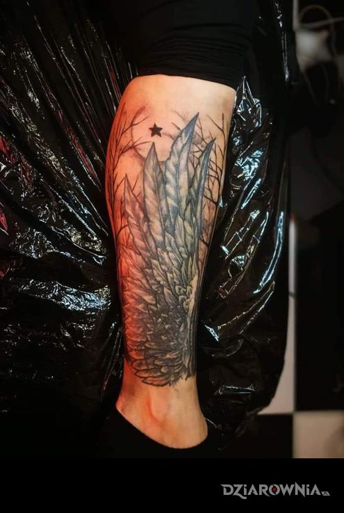 Tatuaż skrzydła w motywie skrzydła na łydce