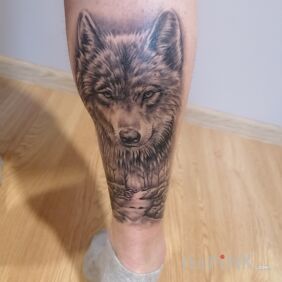 Tattoo Wolf on the leg motif: black and gray style: realistic
