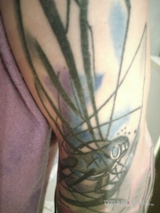 Tatuaż wazka w motywie owady i stylu trash polka na przedramieniu