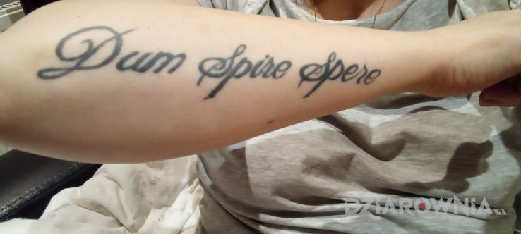 Tatuaż dum spiro spero w motywie napisy na przedramieniu