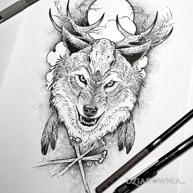 Wilk / Rogi / Kości
